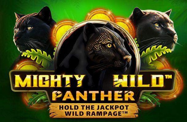 Mighty Wild Panther Slot